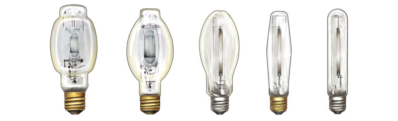 me-ch-17-38_bulbs