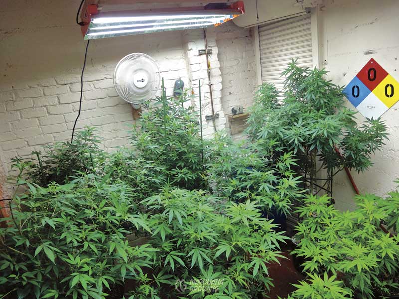 me-ch-17-cfl-dsc02614