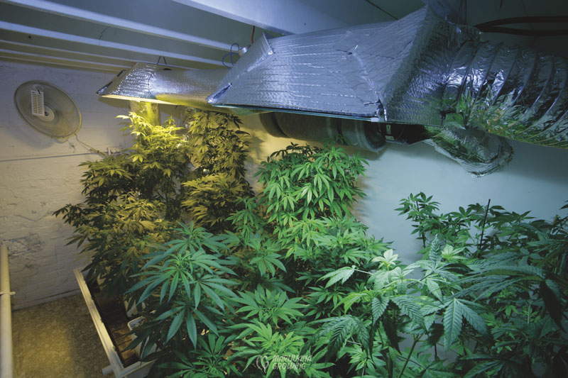 me-ch-17-hid-light_3799