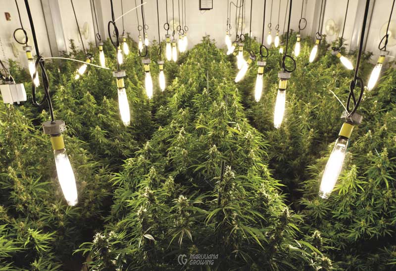 me-ch-17-lf_hanging_lights_5603
