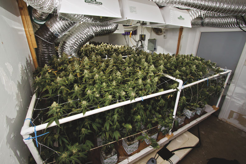 me-ch-17-lf_indoor_garden_10