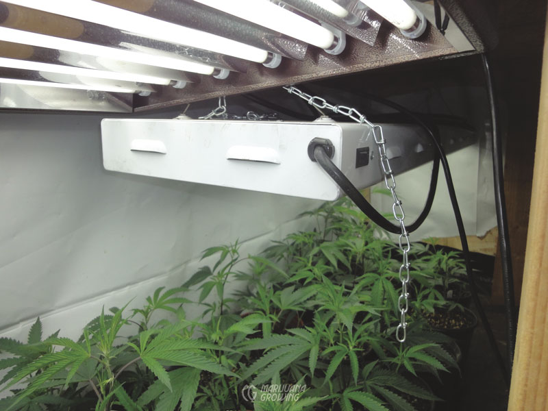 me-ch-17-light-dsc02256