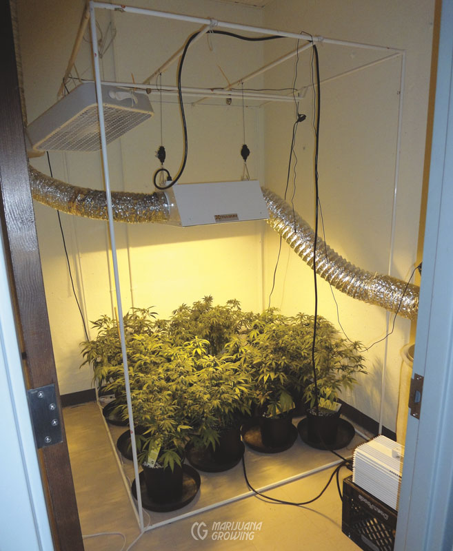 me-ch-17-oaksterddsc01557