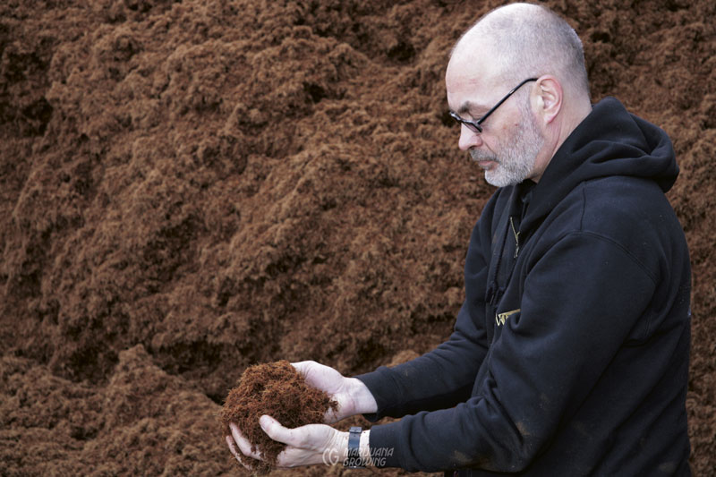 me-ch-18-_mg_5818 cannabis soil