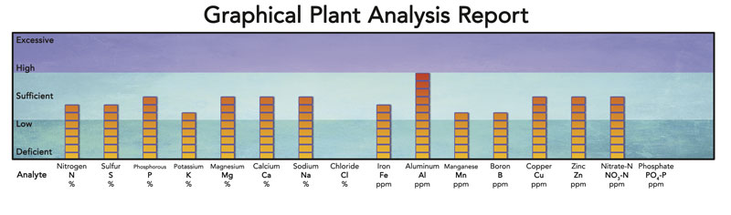 me-ch-18-graphical-plant-analysis-report