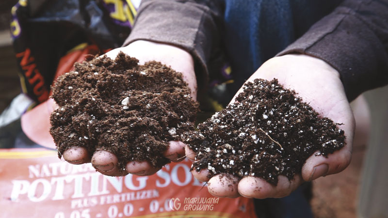 me-ch-18-mixing-soil-black-gold-roots-o-04