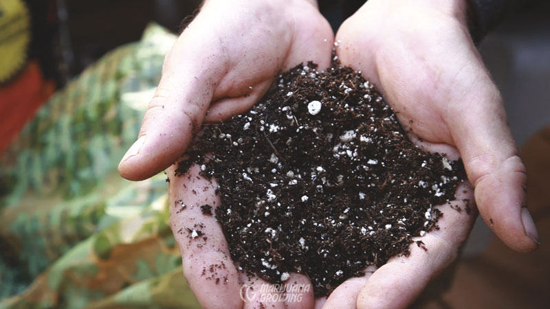 me-ch-18-mixing-soil-roots-organic-03