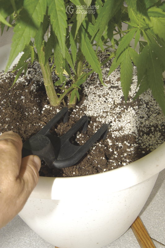 me-ch-19-soil-cultivation-02