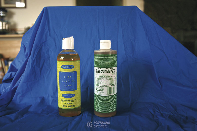 me-ch-20-castille-soap-img_5062