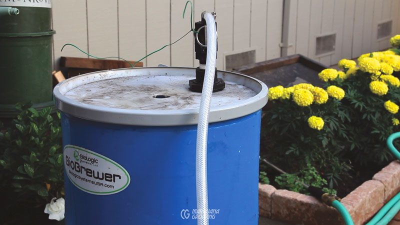 me-ch-21-bio-brewer-800x450-1