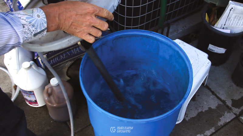 me-ch-21-compost-tea-brew-800x450-1