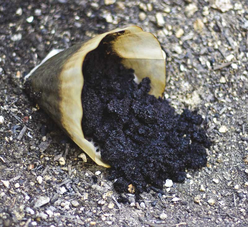 me-ch-21-lf_coffee_grounds-800x734-1