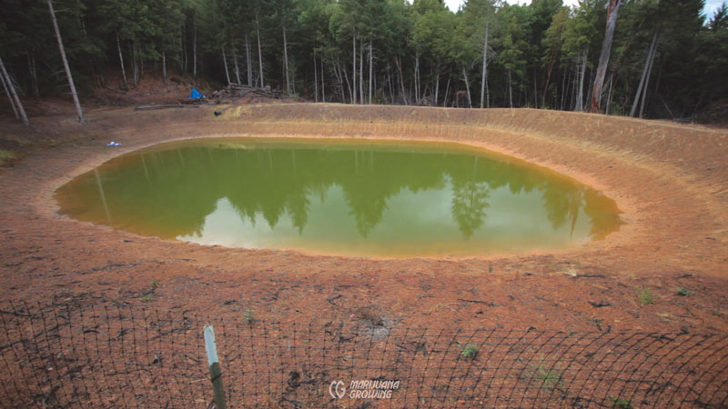 me-ch-21-pond-800x450-1