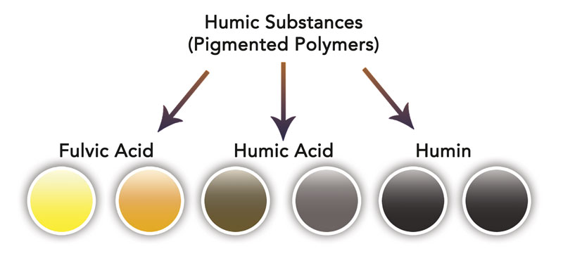 me-ch-22-humicsubstances