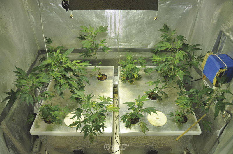 me-ch-23-dwc-03
