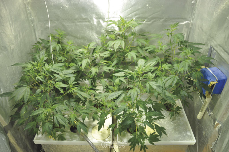 me-ch-23-dwc-04