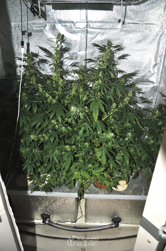me-ch-23-dwc-05