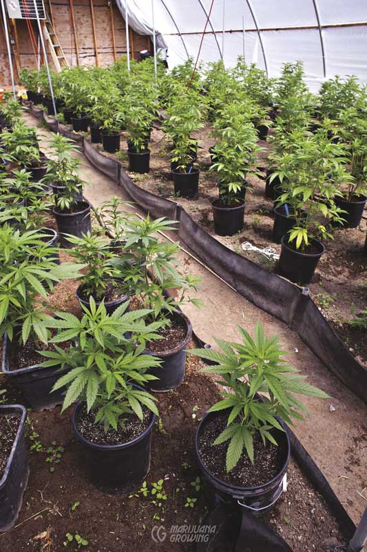 me-ch-23-greenhouse-lf_0032