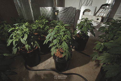 me-ch-23-hydro-lf_0039