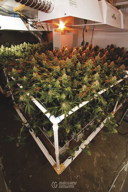 me-ch-23-hydro-lf_0047
