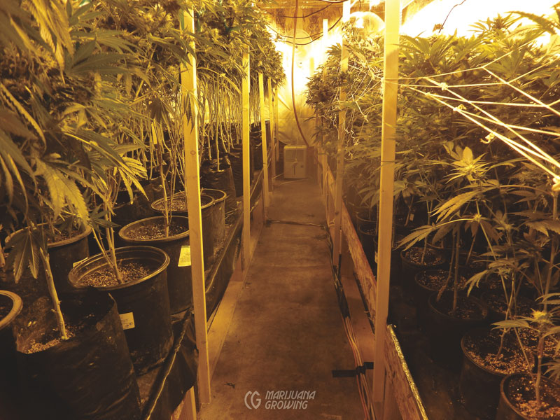 me-ch-23-hydro-organic-dsc02284