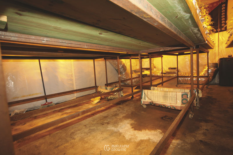me-ch-23-hydroponics-img_3773