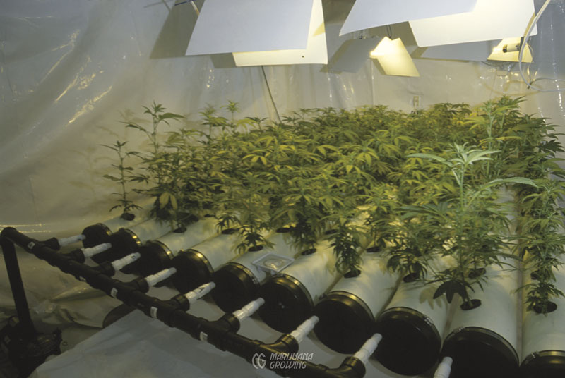 me-ch-23-nft-canada