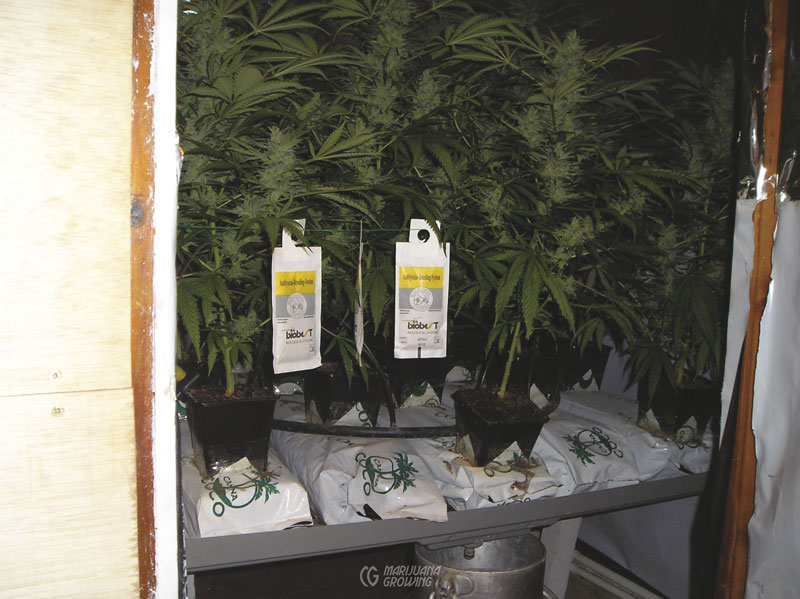 me-ch-24-beneficial-252