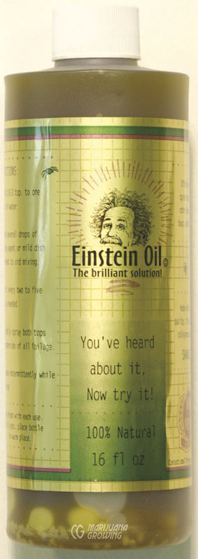 me-ch-24-einsteinneem