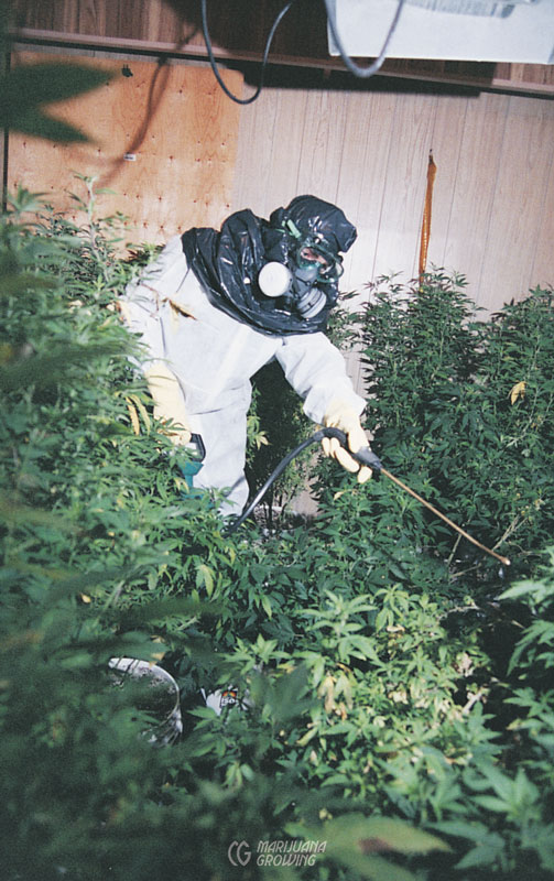 me-ch-24-spray-mh-03-3-10