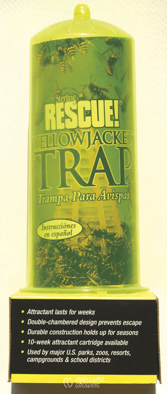me-ch-24-wasptrap-340x800-1