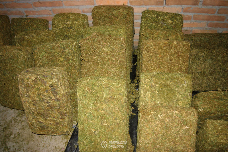 me-ch-26-01-hash-sieve-farm-018