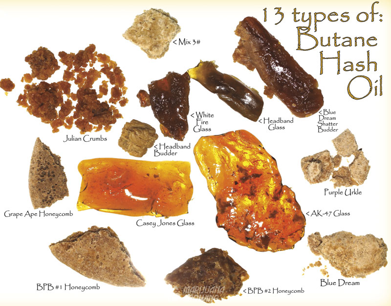 me-ch-26-bhotod-page-533 cannabis concentrates