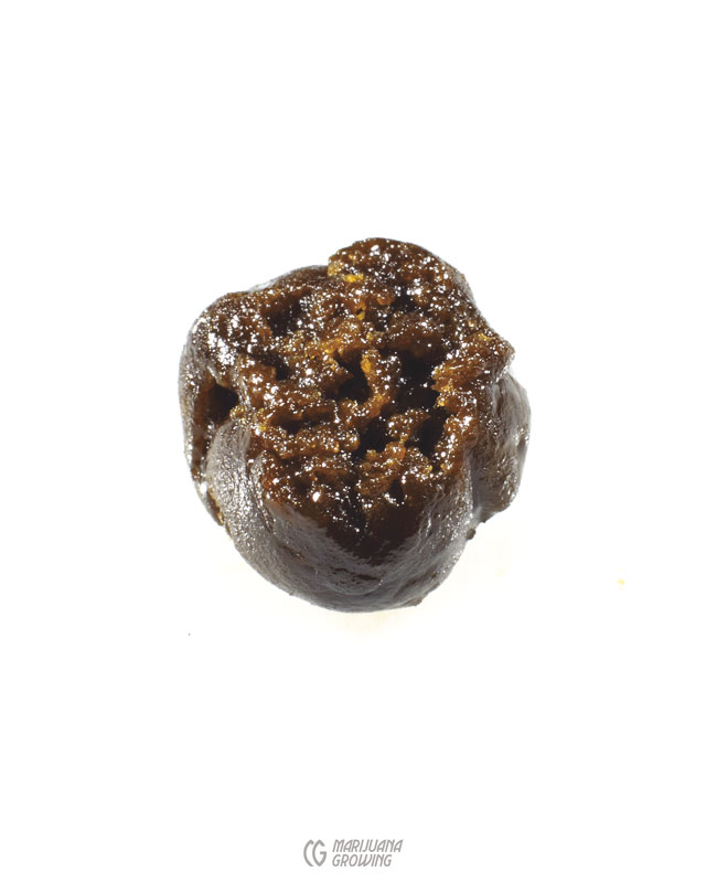 me-ch-26-lf_gdp_wax