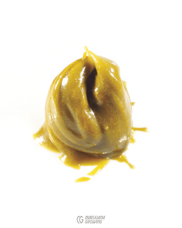 me-ch-26-lf_golden_budda_oil
