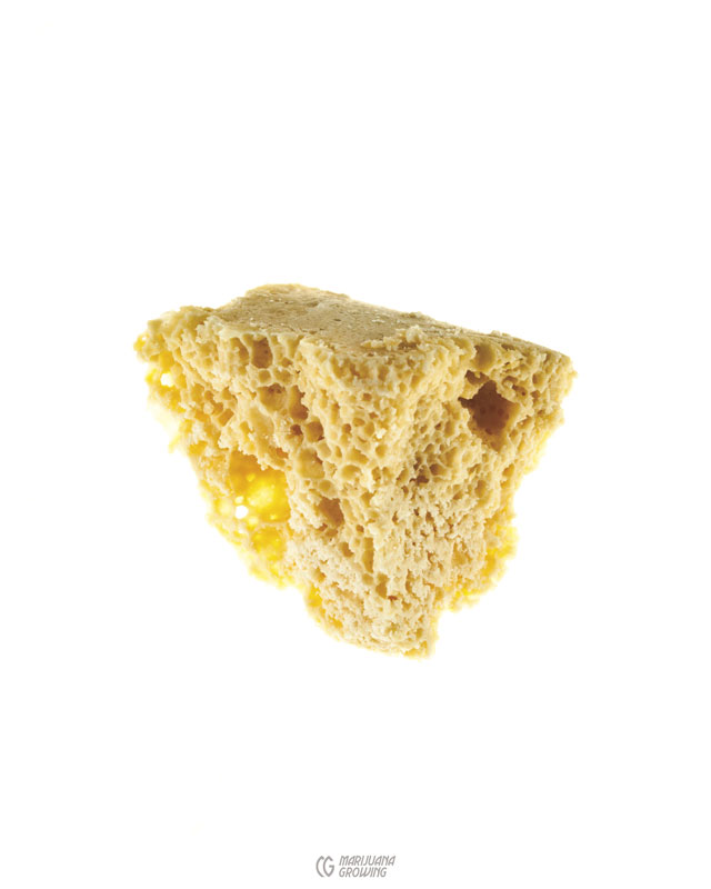 me-ch-26-lf_head_cheese_wax