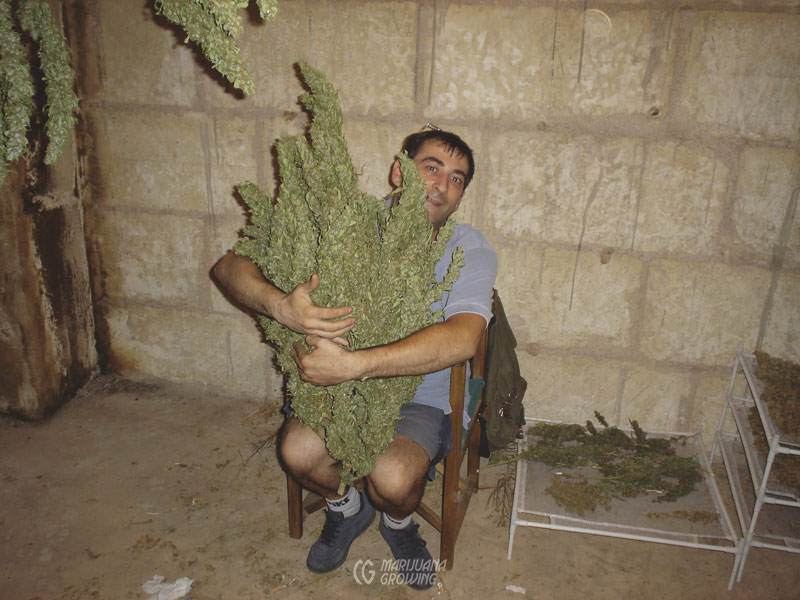 me-ch-27-harvest-tony-derry-017