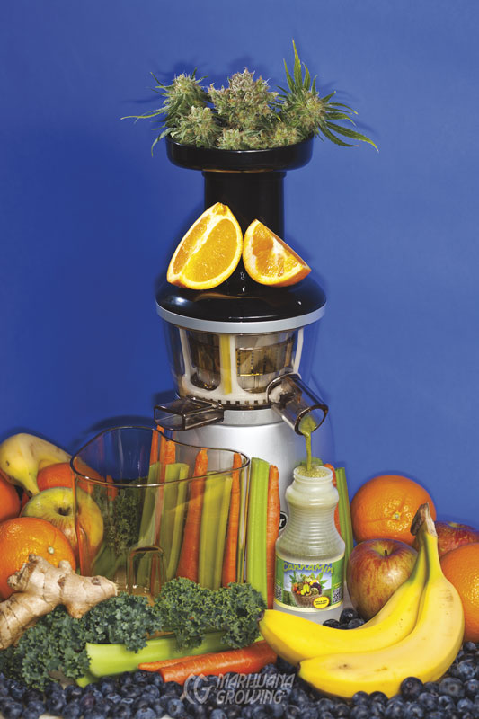 me-ch-27-lf_cannabis_juicing