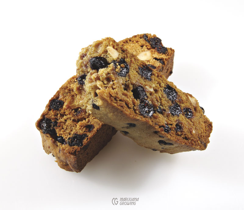me-ch-27-lf_grnway_biscotti