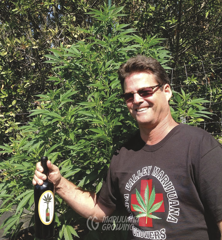 me-ch-27-napa-wine-03