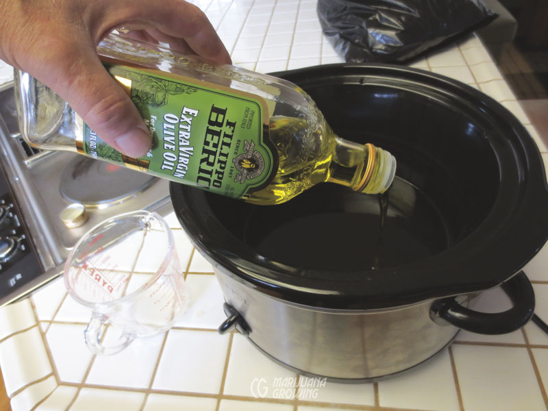 me-ch-27-olive-oil-img_3010-1