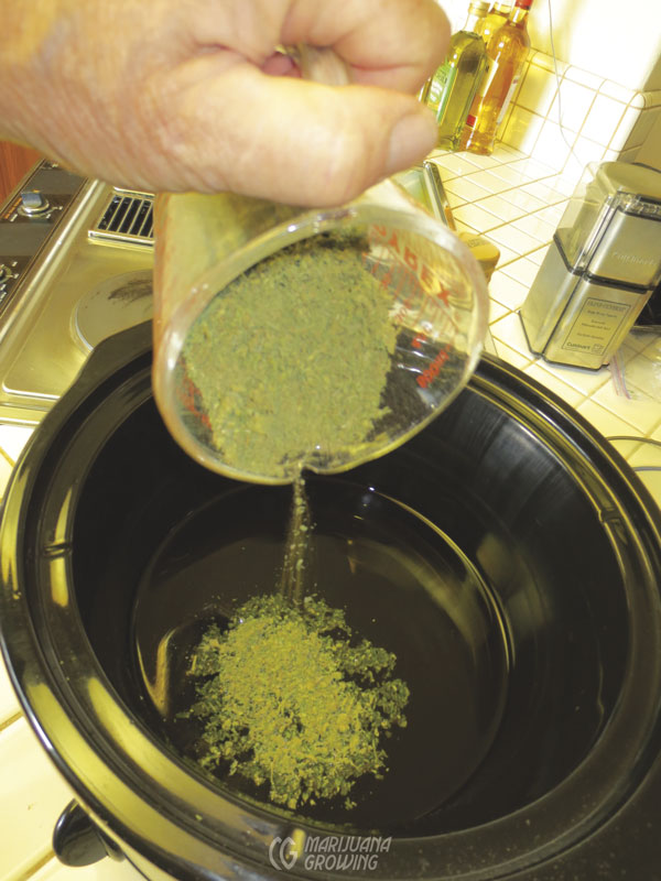 me-ch-27-olive-oil-img_3043