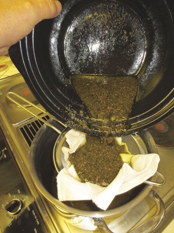 me-ch-27-olive-oil-img_3070