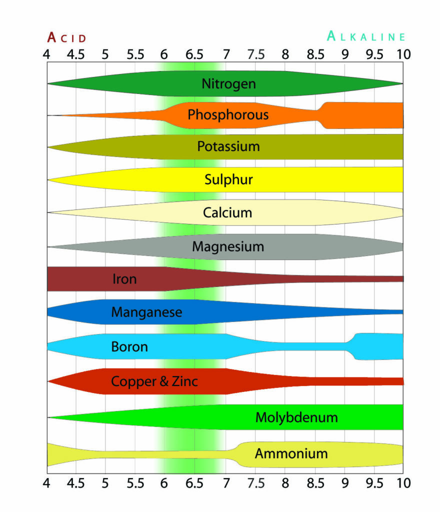 mh-10-ph-chart-dro-880x1024-1